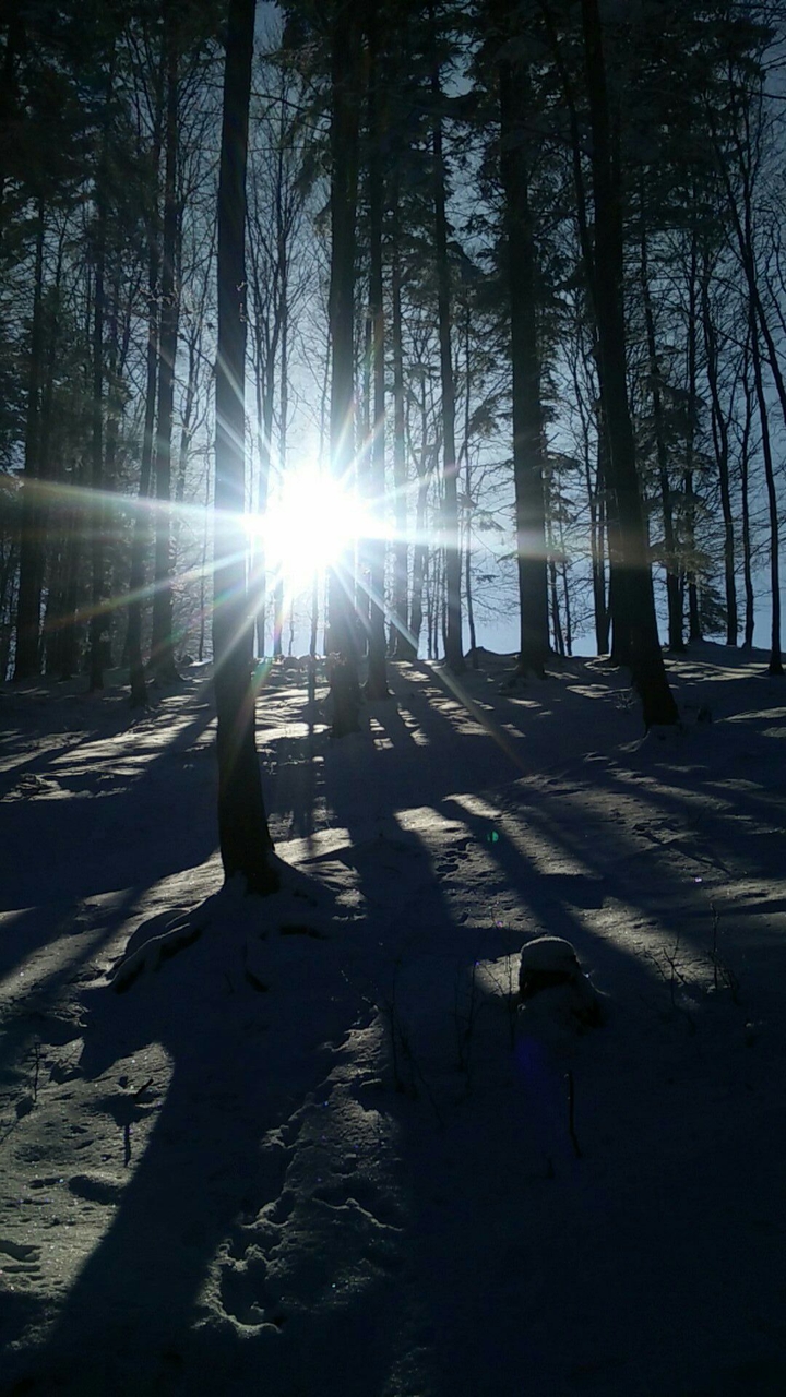 Winter