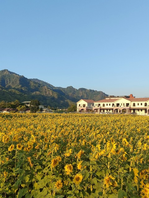 sfondi agriculture, Building