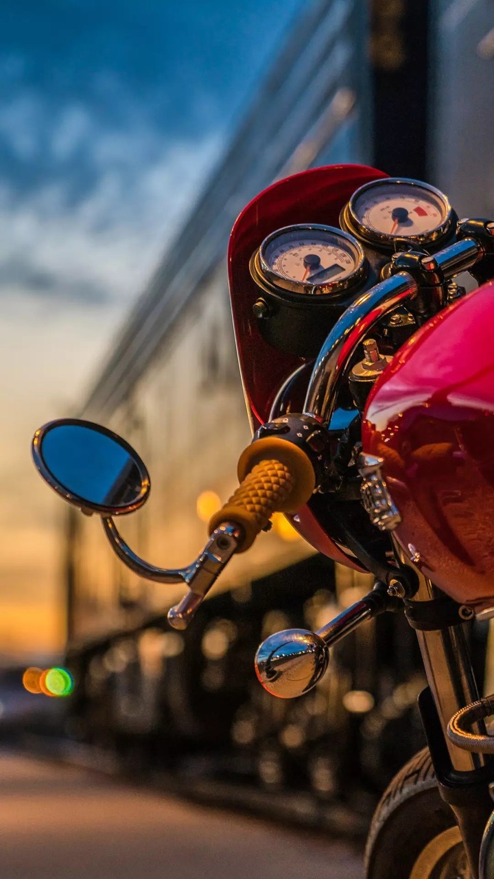 Bike lover