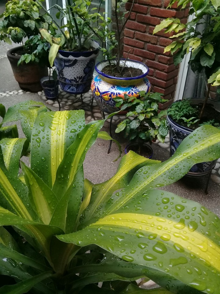 ?