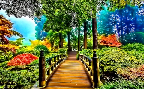 bridge
