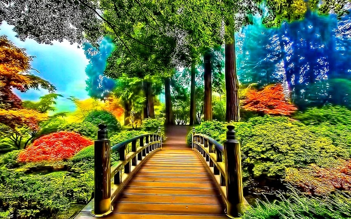 bridge