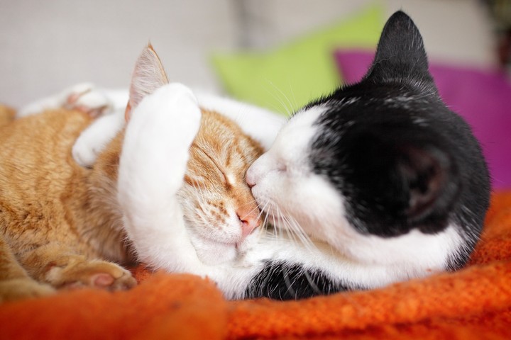 kiss❤