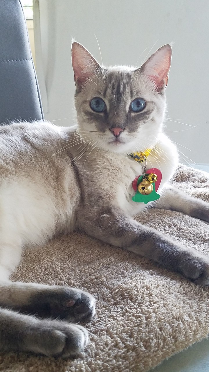 Nina