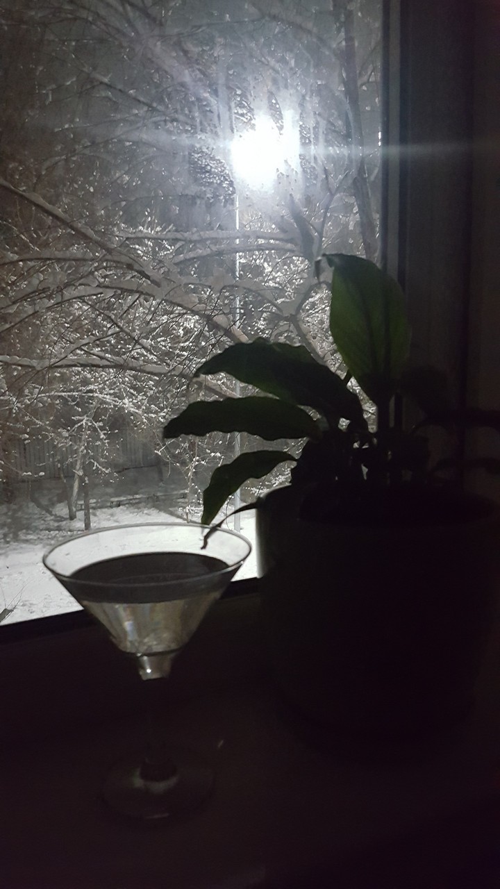 winter,window,martini