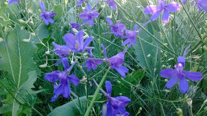 #Україна #літо #summer #краса