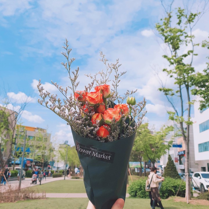 spring
