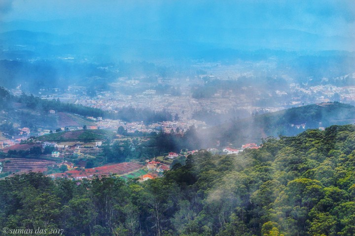 Misty nilgiris