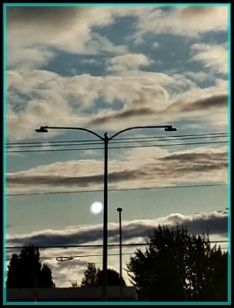 light of the street