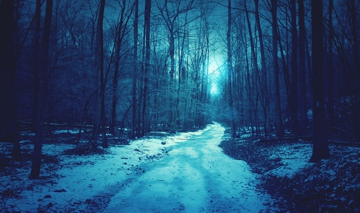Blue Forest