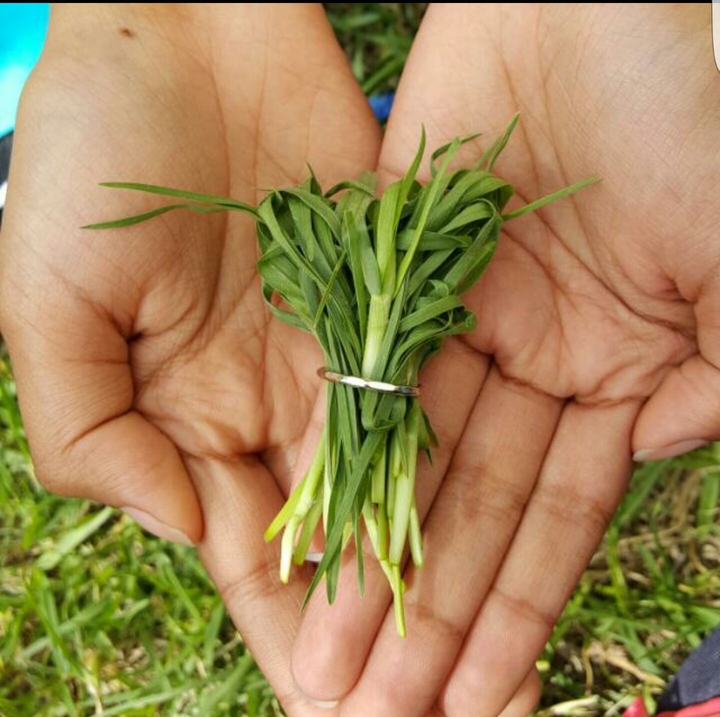 Love Nature