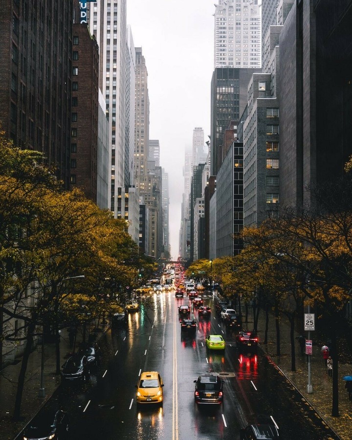 Rainy Day in New York