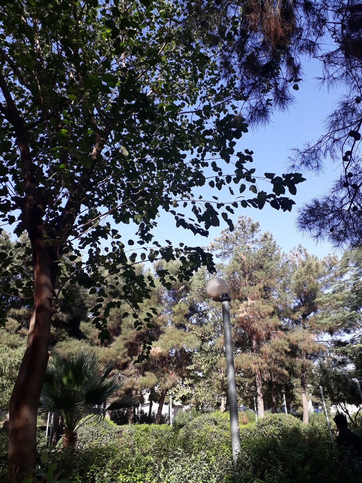 سروشت