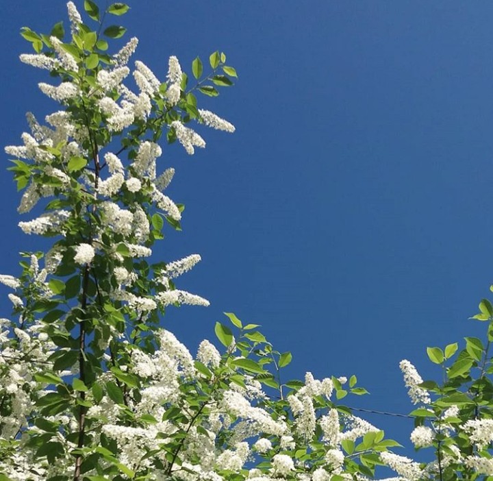 sky...