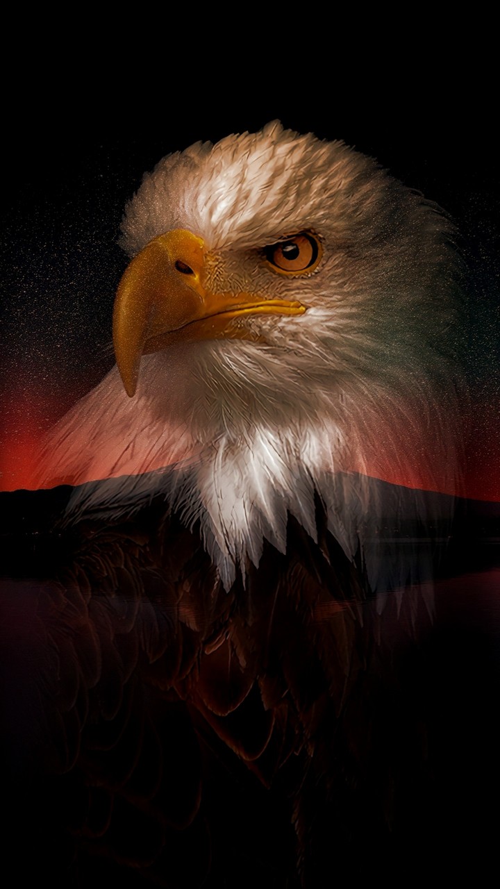 Eagle