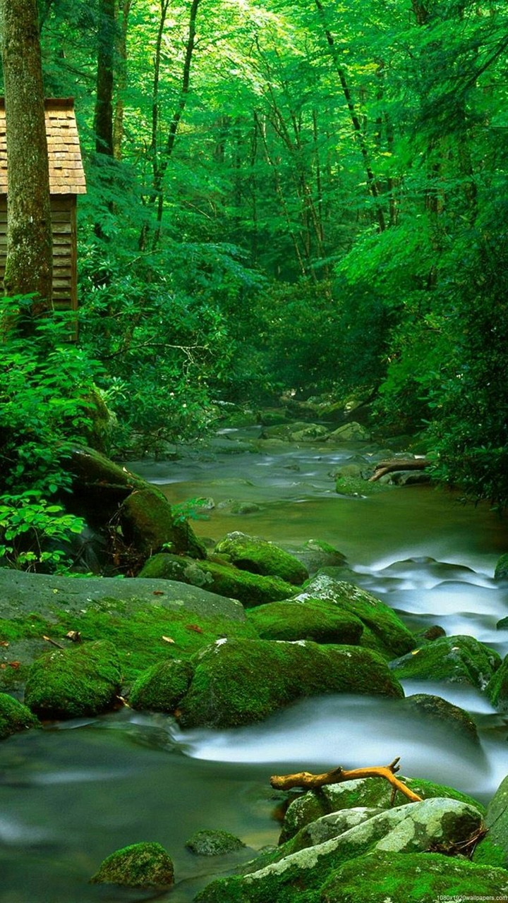 Nature