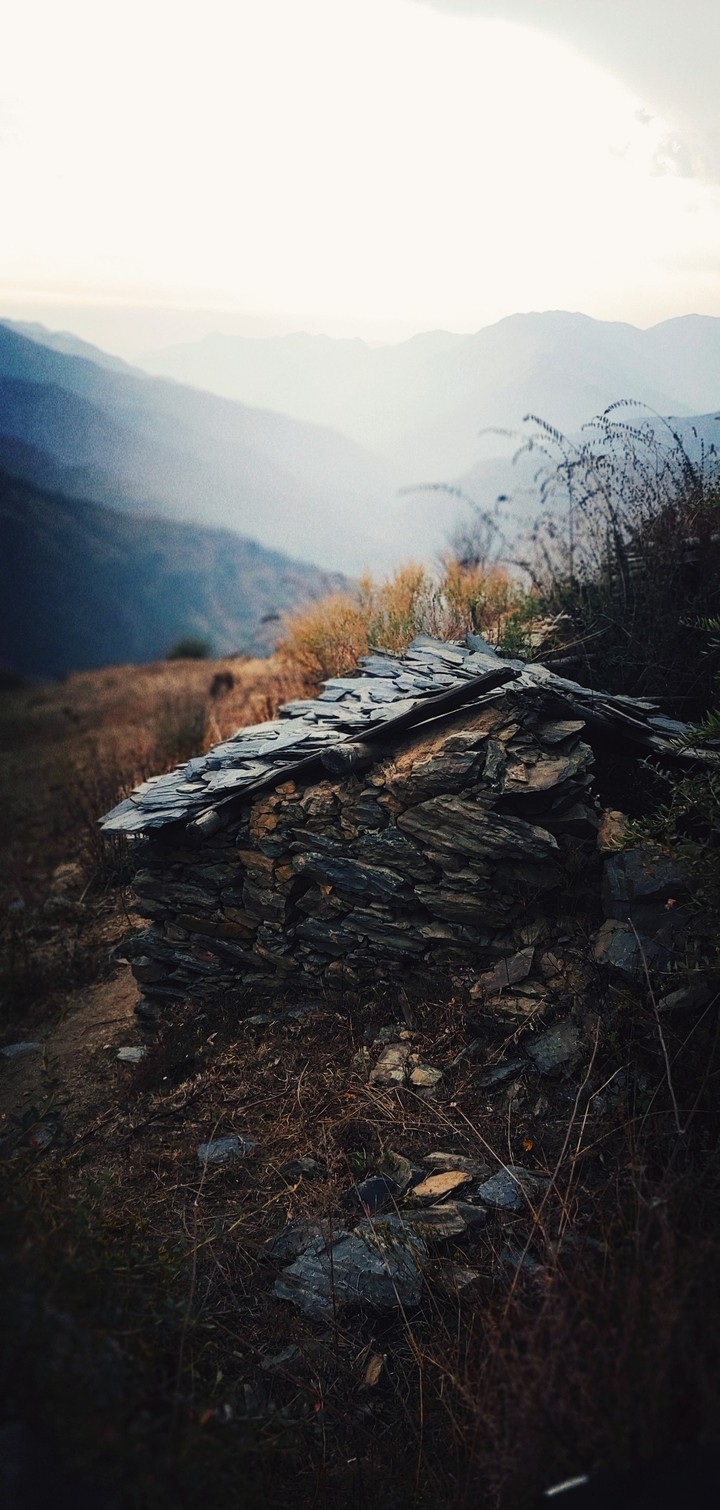 abandoned