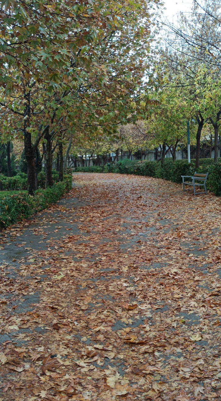 #fall