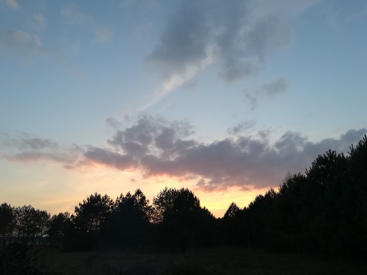 Sky