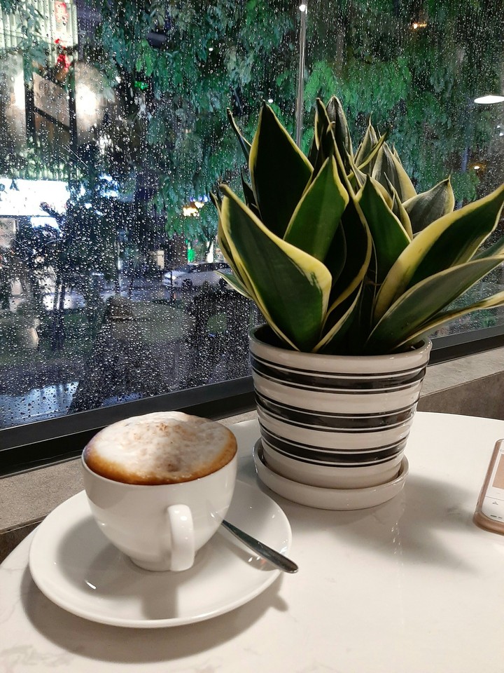 Coffee and tree