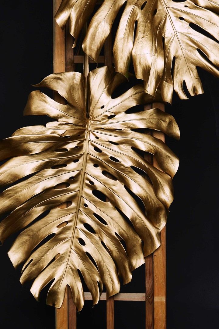 golden leaves