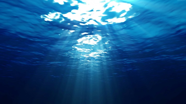 under the sea