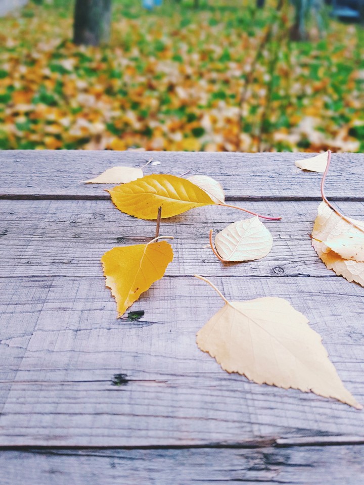fall