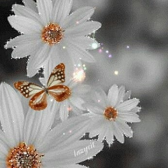 uma flor é uma borboleta