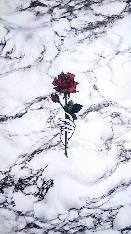 rose