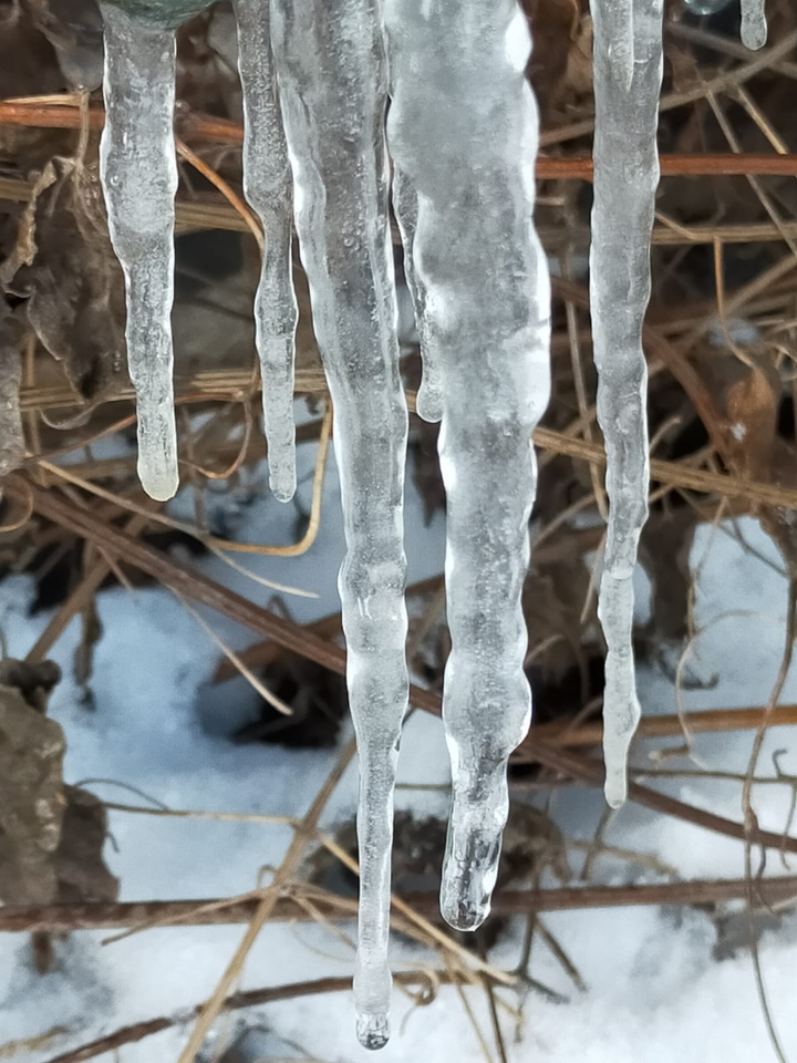 beautiful ice