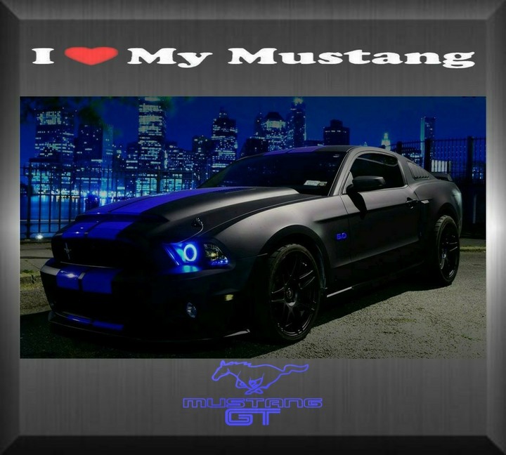 night stalker™ mustang
