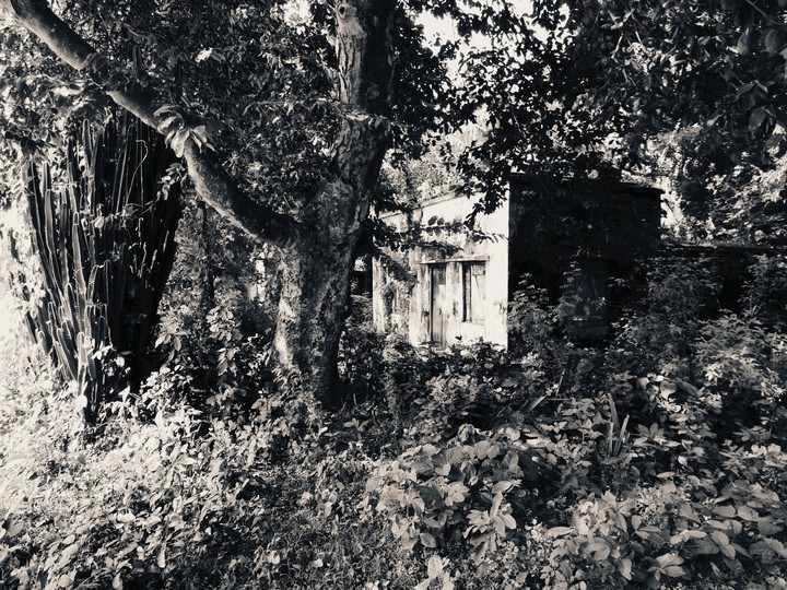 Abandoned House
