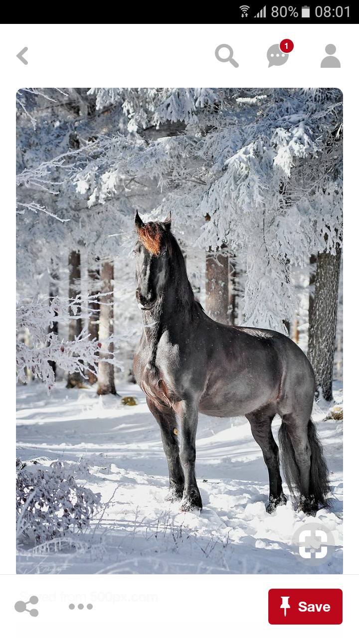 from pinterest but had to post this beauty