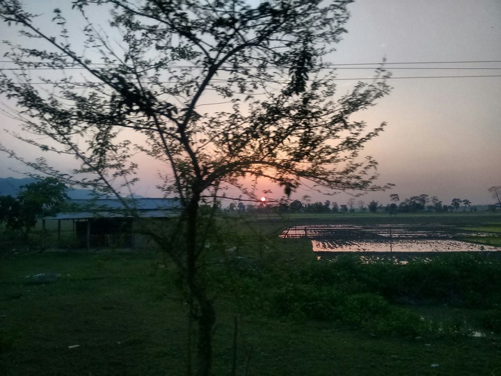 sunset