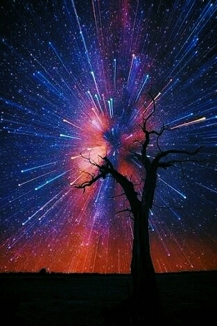 tree of  Universe
