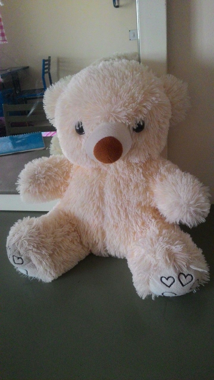 teddy