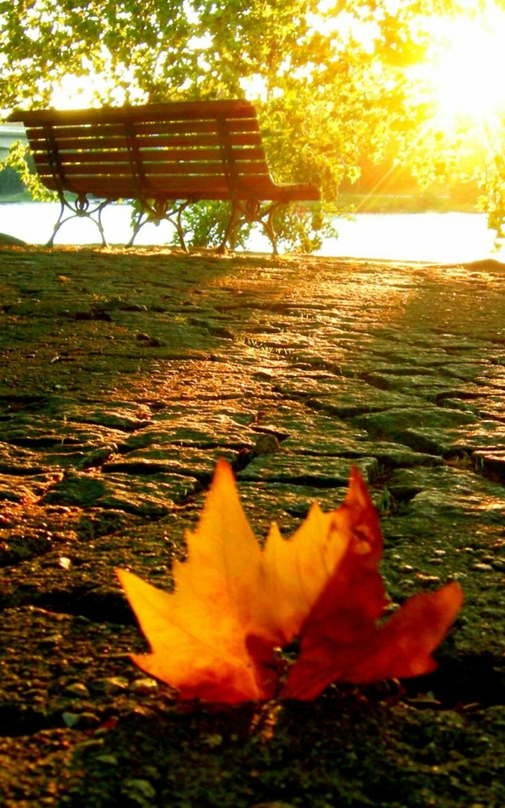 Autumn