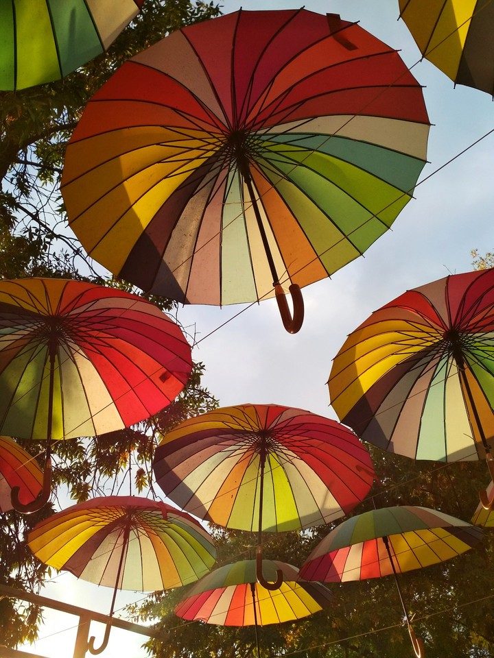 umbrellas