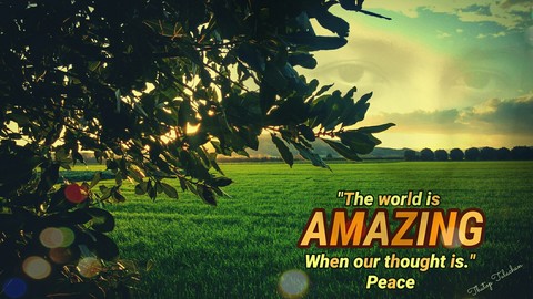 Amazing Wolrd
