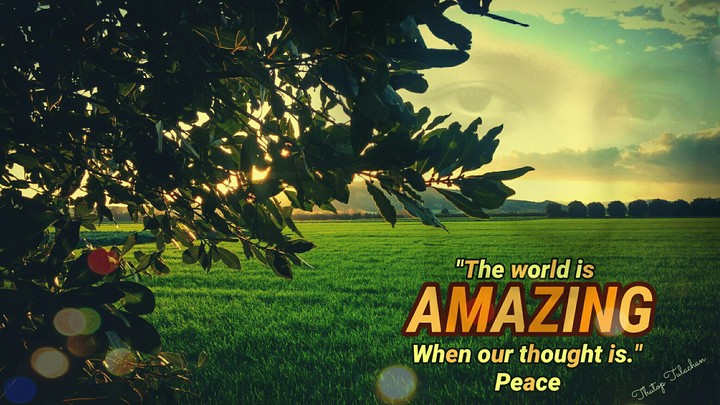 Amazing Wolrd