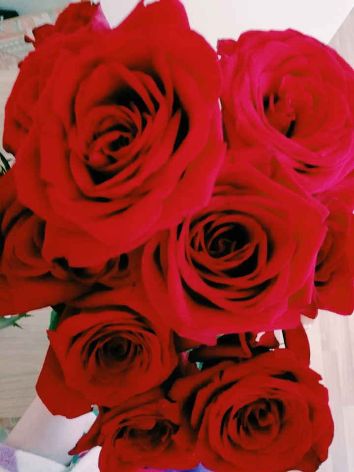 roses