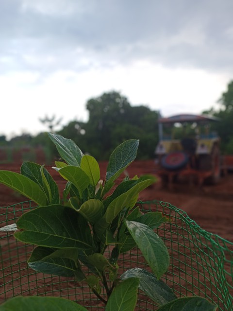 Farming