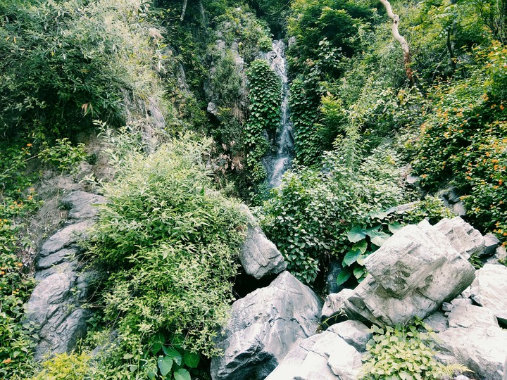 nature