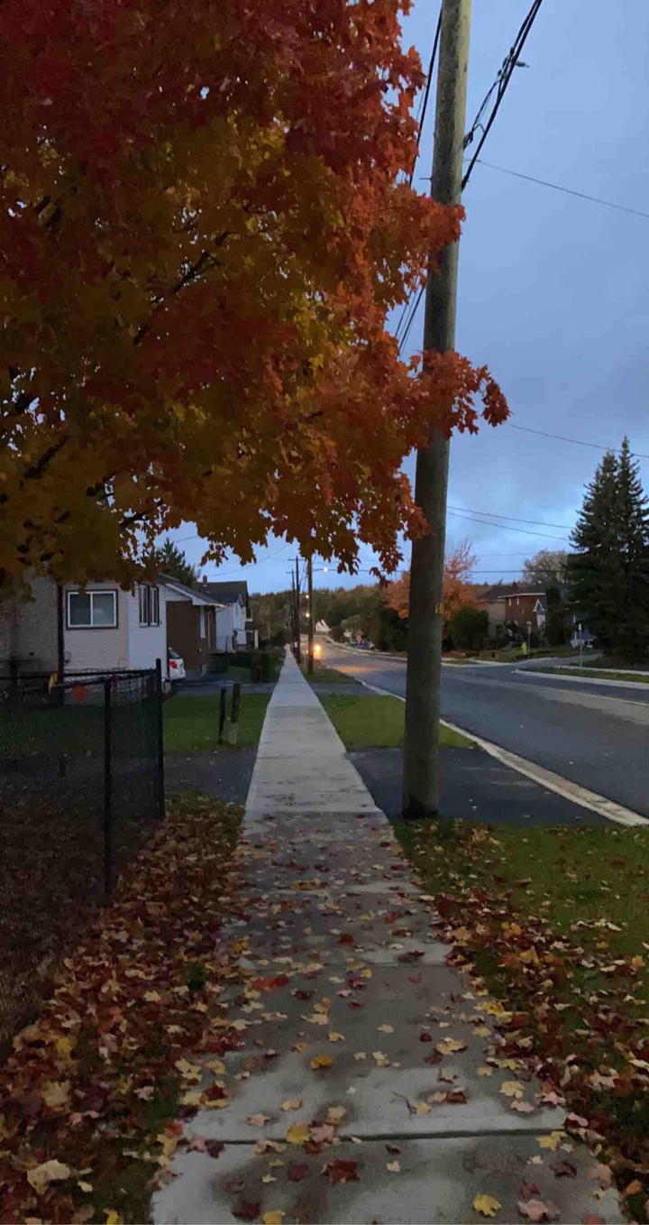 Fall Season