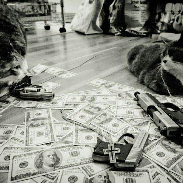 dollar