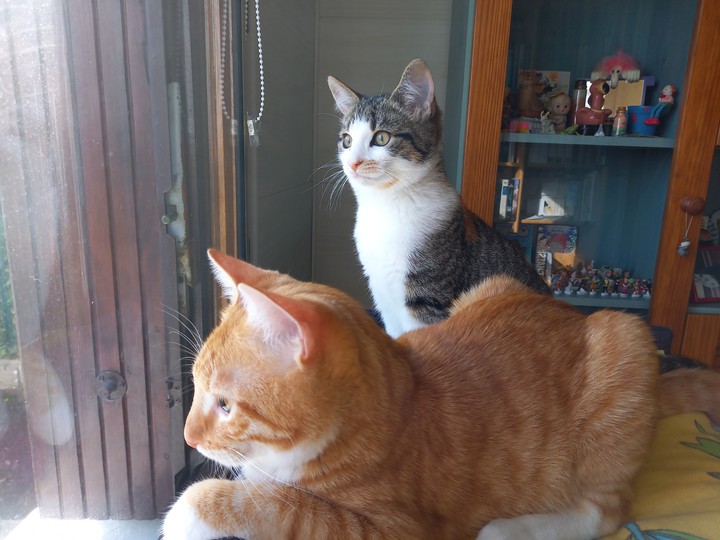 Lino et Léïa