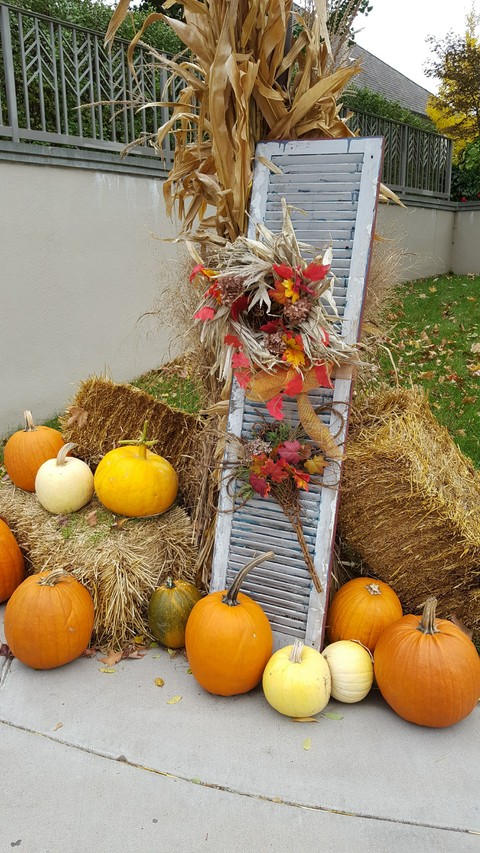 Fall Pumpkins