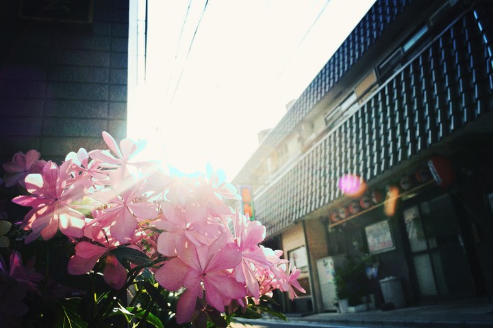路地