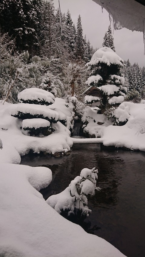 雪景色