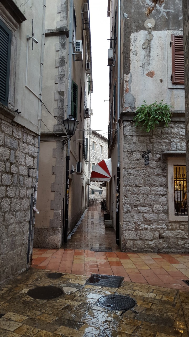 Kotor
